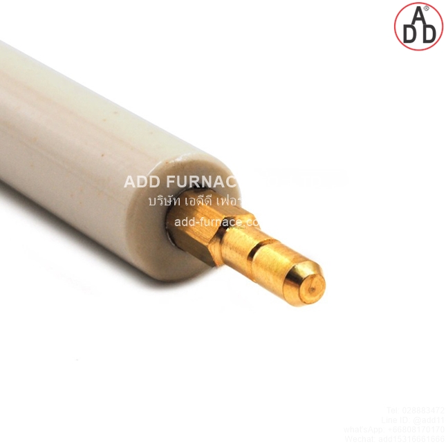 Riello Electrode 3006709(2)